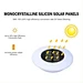 Solar Light